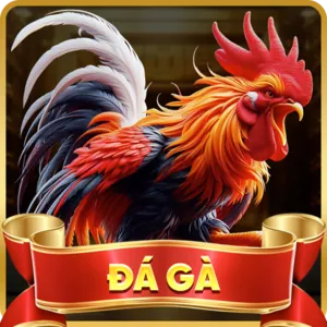 Cá cược thể thao V9BET
