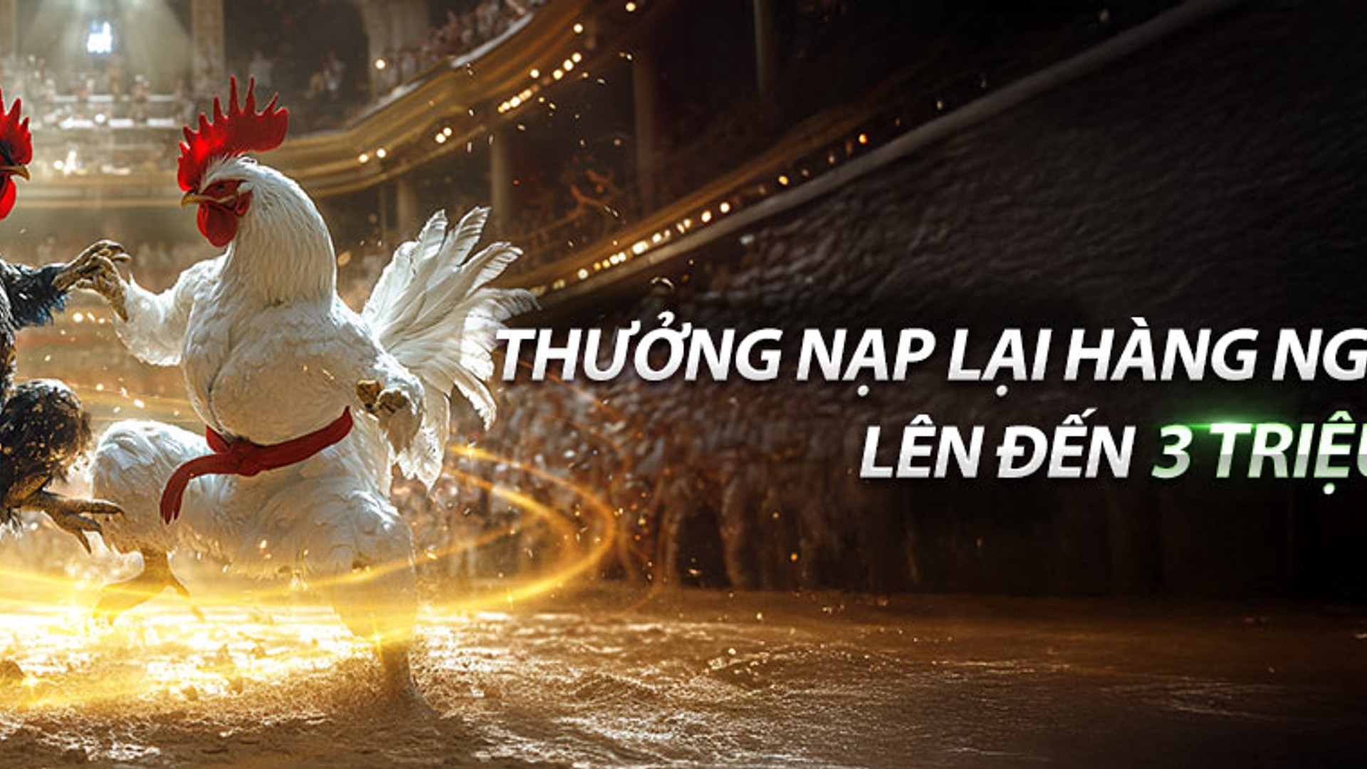 Lịch điểm danh hàng ngày v9bet với các phần thưởng hấp dẫn